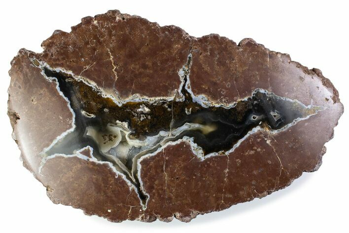 Polished, Black Rock Desert Thunderegg (Half) - Nevada #376196